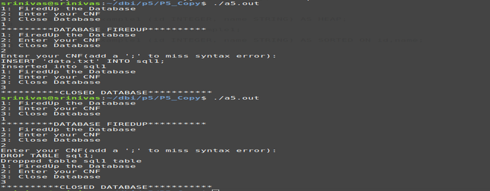 Database System Implementation